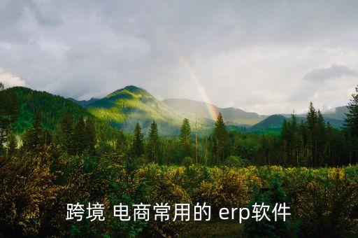 跨境 电商常用的 erp软件