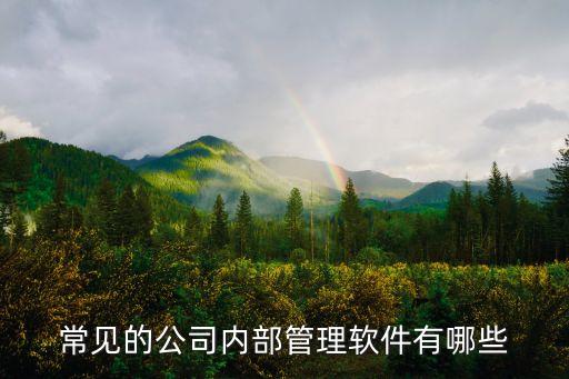 常见的公司内部管理软件有哪些