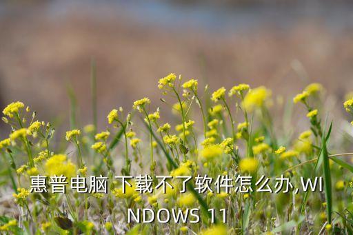 惠普电脑 下载不了软件怎么办,WINDOWS 11