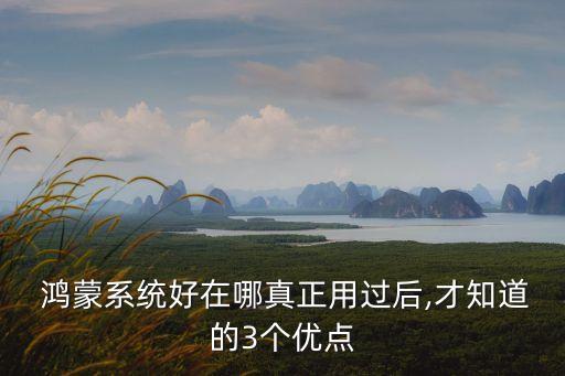 鸿蒙系统软件生态如何,仿鸿蒙系统软件APP