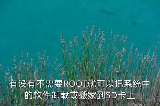 有没有不需要ROOT就可以把系统中的软件卸载或搬家到SD卡上