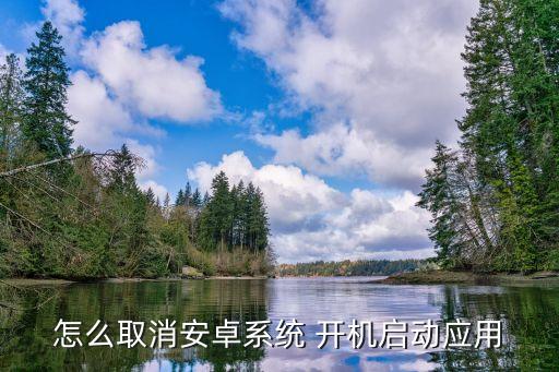 怎么取消安卓系统 开机启动应用