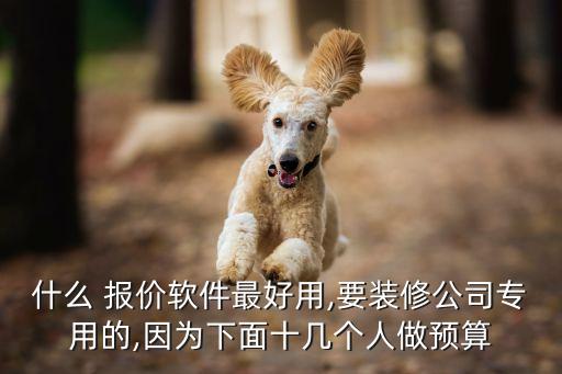 什么 报价软件最好用,要装修公司专用的,因为下面十几个人做预算