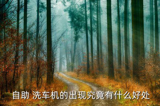  自助 洗车机的出现究竟有什么好处