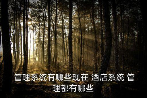  管理系统有哪些现在 酒店系统 管理都有哪些