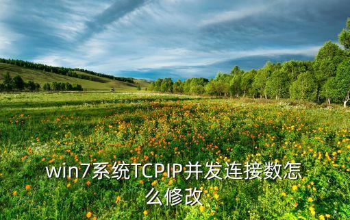 win7系统TCPIP并发连接数怎么修改