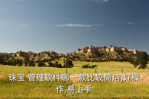 珠宝 管理软件哪一款比较简洁,好操作,易上手