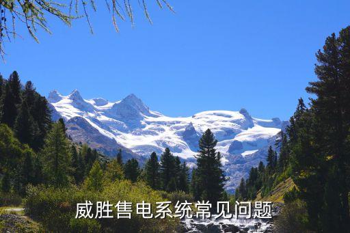 威胜售电系统常见问题