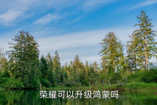 荣耀9xpro养老系统软件
