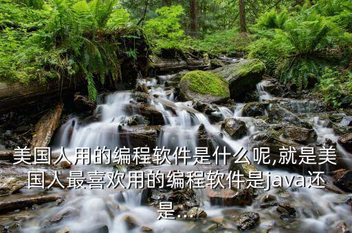 美国人用的编程软件是什么呢,就是美国人最喜欢用的编程软件是java还是...