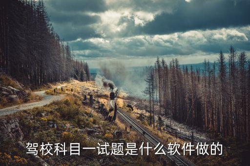 驾校科目一试题是什么软件做的