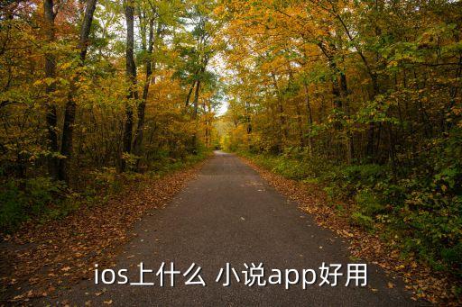ios上什么 小说app好用