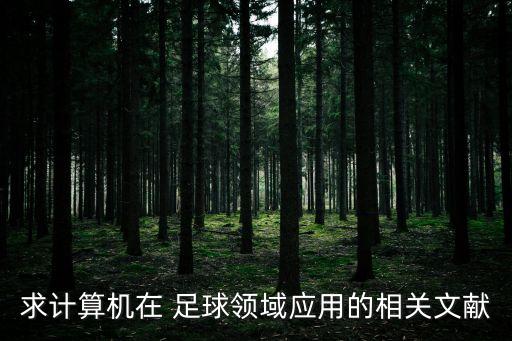 巴西足球联赛系统软件,巴西为什么没有足球联赛