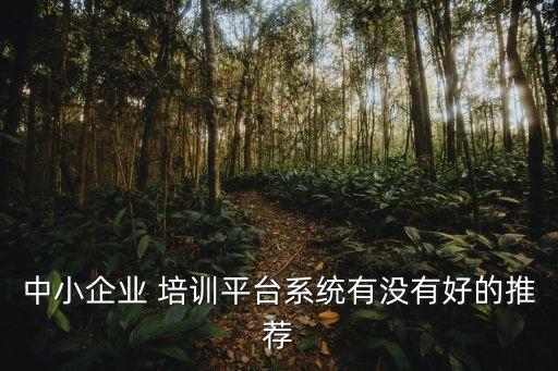 中小企业 培训平台系统有没有好的推荐