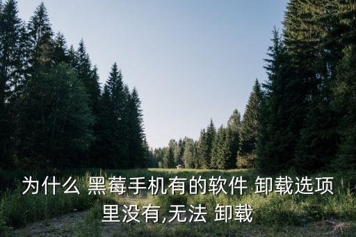 为什么 黑莓手机有的软件 卸载选项里没有,无法 卸载