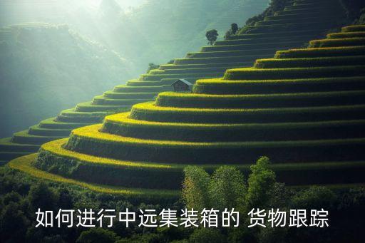 如何进行中远集装箱的 货物跟踪