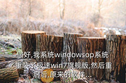 重装系统软件消失