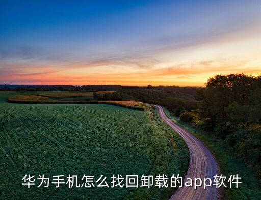  华为手机怎么找回卸载的app软件