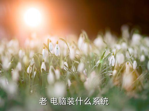 老 电脑装什么系统
