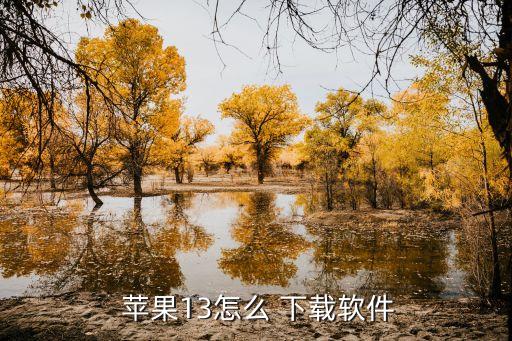  苹果13怎么 下载软件