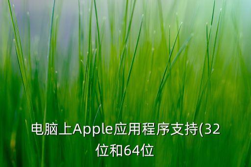 电脑上Apple应用程序支持(32位和64位