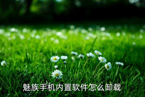 魅族手机内置软件怎么卸载