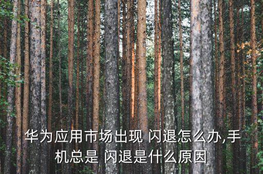 华为系统软件闪退解决,安卓系统软件闪退怎么修复