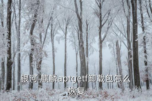长城麒麟系统软件恢复