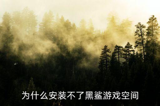 为什么安装不了黑鲨游戏空间