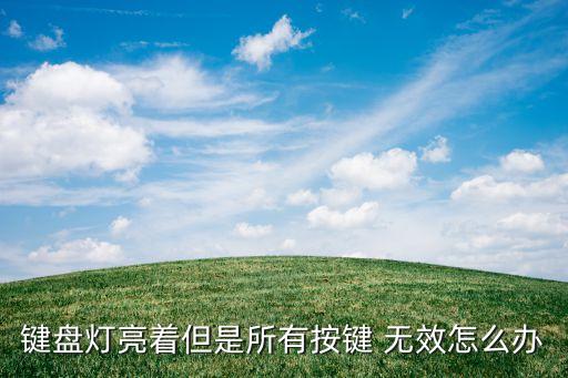 键盘灯亮着但是所有按键 无效怎么办