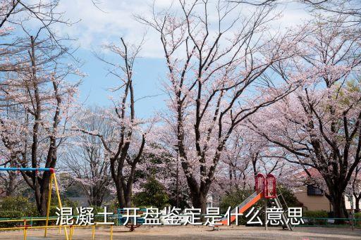 商砼开盘资料系统软件