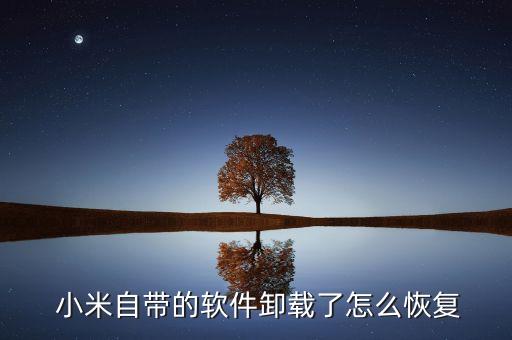  小米自带的软件卸载了怎么恢复