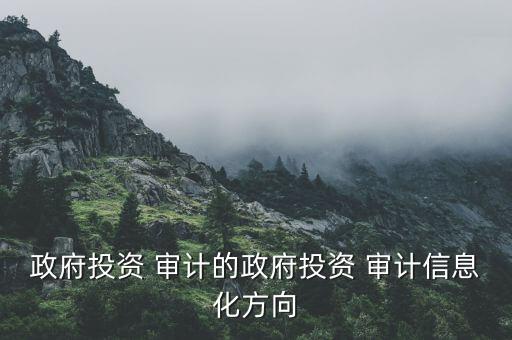 政府投资 审计的政府投资 审计信息化方向