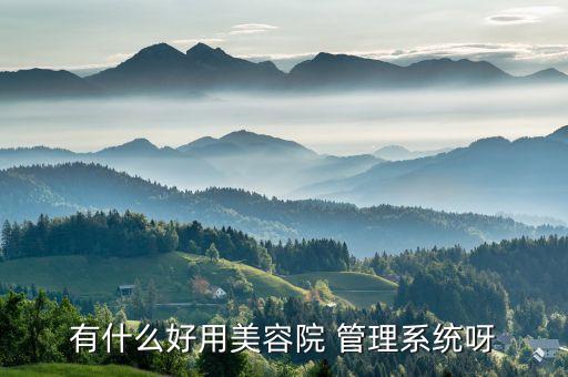 美业客户管理系统软件下载