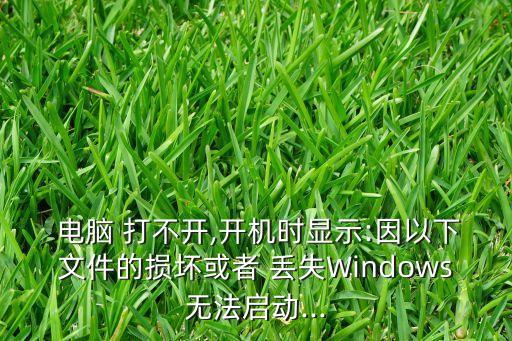  电脑 打不开,开机时显示:因以下文件的损坏或者 丢失Windows无法启动...