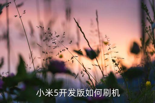  小米5开发版如何刷机