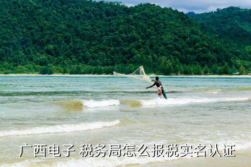  广西电子 税务局怎么报税实名认证
