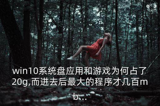 系统软件有多少g,会计系统软件一般多少钱