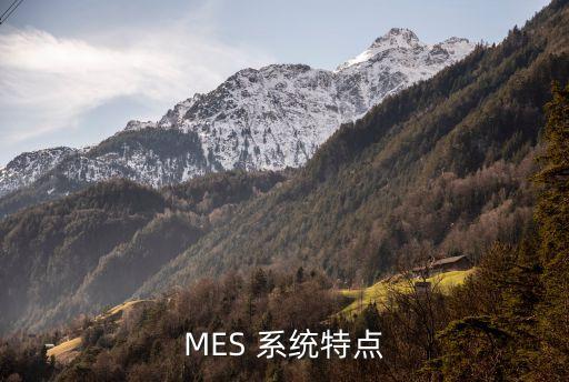 MES 系统特点