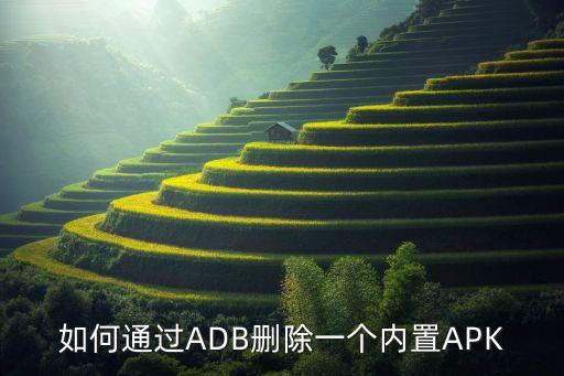 如何通过ADB删除一个内置APK