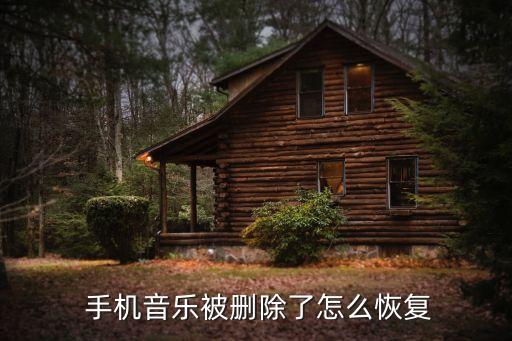  手机音乐被删除了怎么恢复