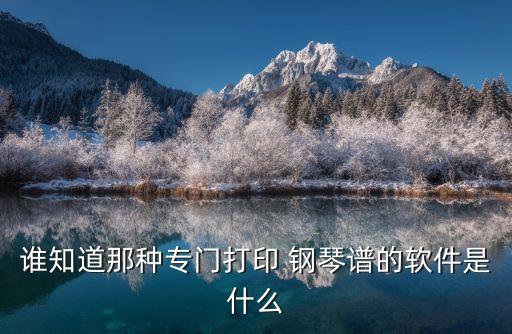 谁知道那种专门打印 钢琴谱的软件是什么