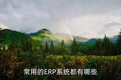 常用的ERP系统都有哪些