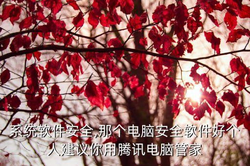 那个系统软件安全,那个电脑安全软件好?个人建议你用腾讯电脑管家