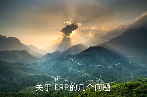 关于 ERP的几个问题