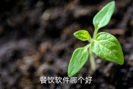 餐饮软件哪个好