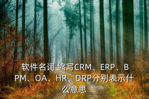 系统软件包括哪些软件缩写,字处理软件属于系统软件的有哪些