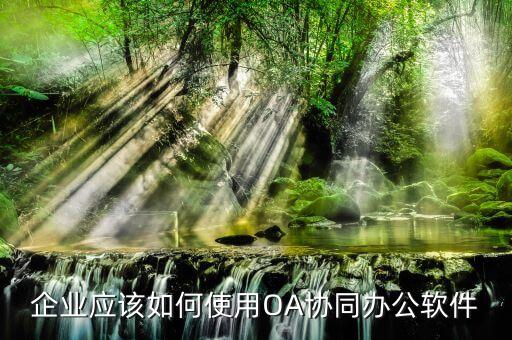 如何启动oa系统软件,手机怎么安装oa系统软件