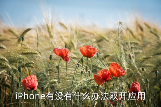iPhone有没有什么办法双开应用