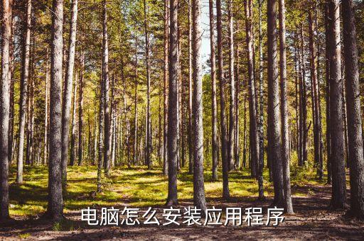 电脑怎么安装应用程序